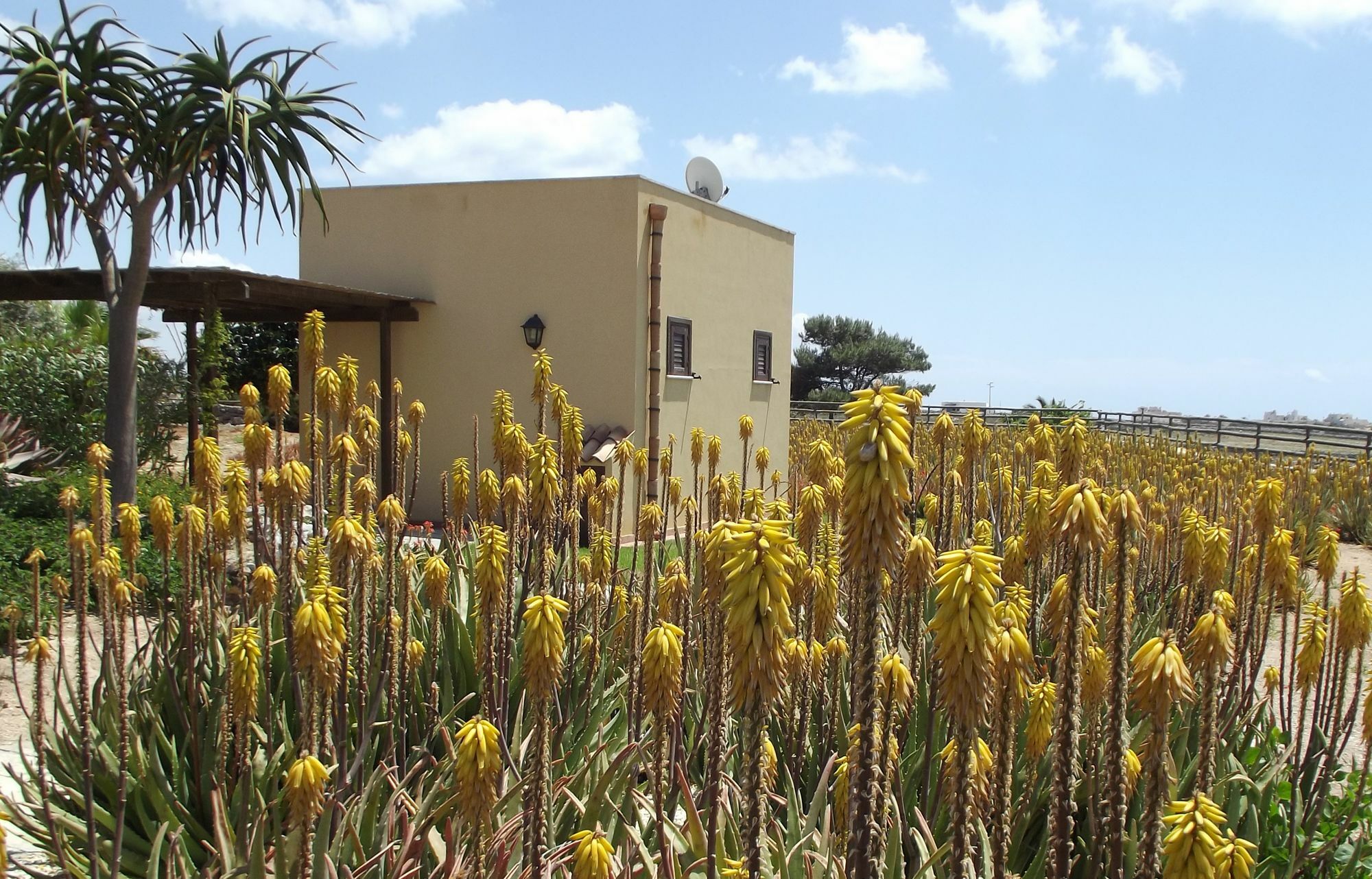 منزل الضيف فافينانا  في Il Giardino Delle Aloe المظهر الخارجي الصورة