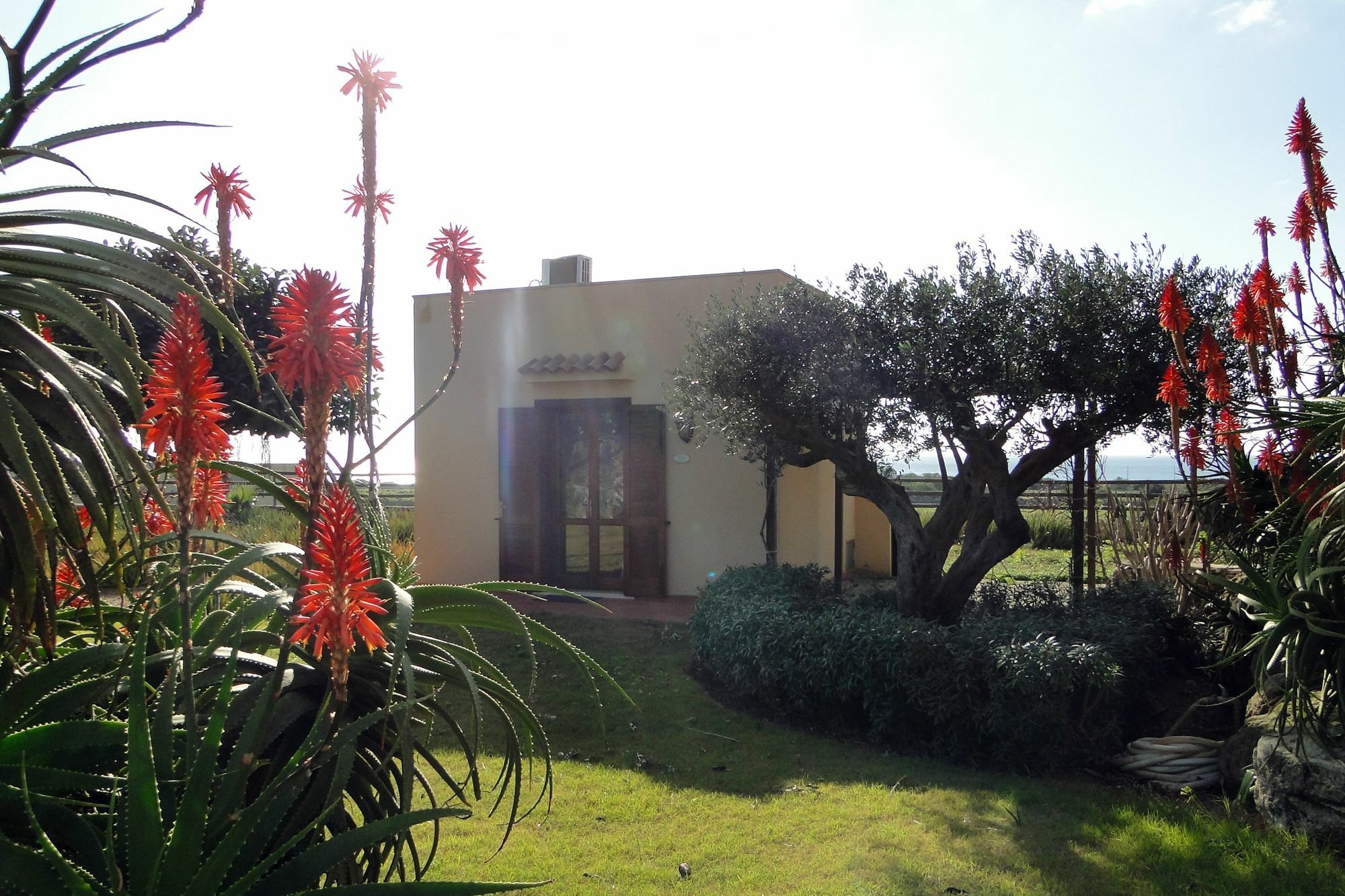 منزل الضيف فافينانا  في Il Giardino Delle Aloe المظهر الخارجي الصورة